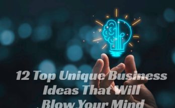 12 Top Unique Business Ideas That Will Blow Your Mind