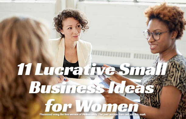 11 Lucrative Small Business Ideas for Women