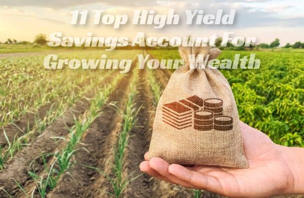 11 Top High Yield Savings Account For Growing Your Wealth